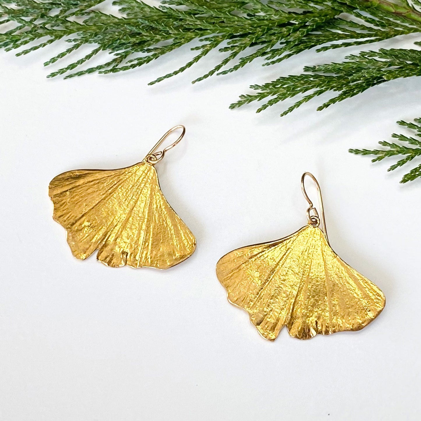 beautiful pair of golden ginkgo earrings on a white background with cedar boughs 