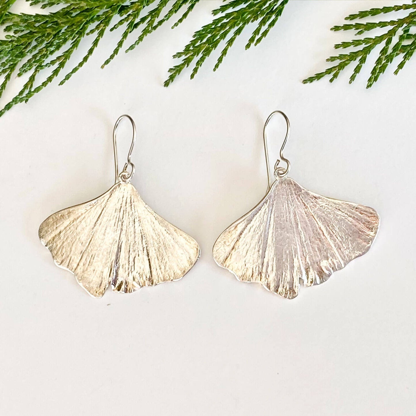 beautiful pair of silver ginkgo earrings on a white background with cedar boughs 