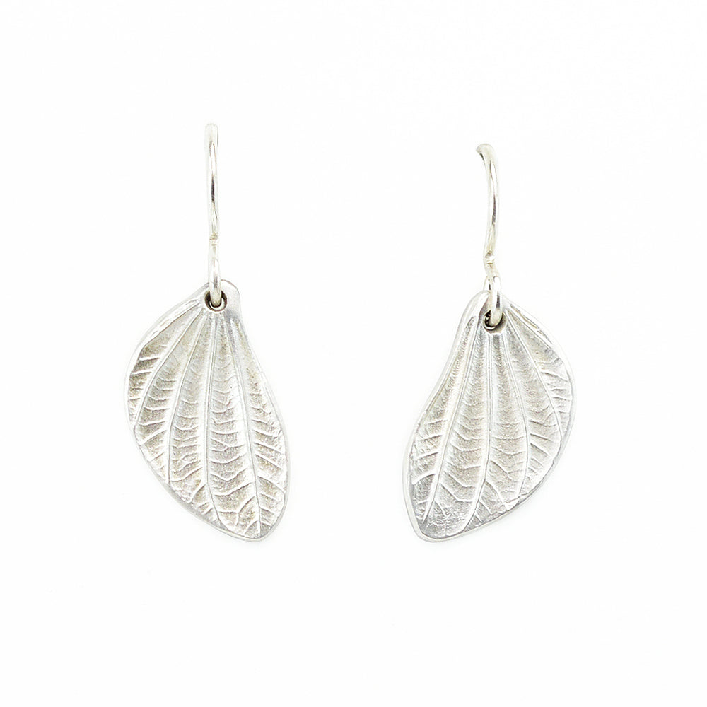 linden leaf pod earrings in sterling silver. on a white background