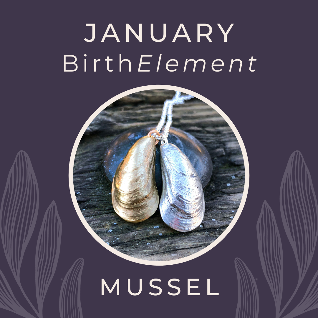 January BirthElement Mussel