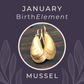 January BirthElement Mussel