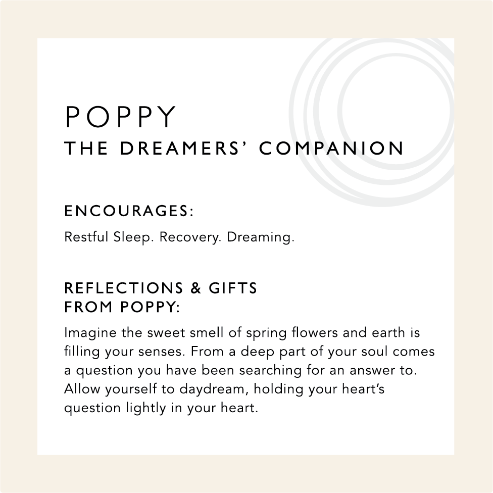 Poppy: The Dreamers' Companion. Encourages: Restful Sleep. Recovery. Dreaming. Reflections & Gifts from Poppy: Imagine the sweet smell of spring flowers and earth is filing your senses. From a deep part of your soul comes a question you have been searching for an answer to. Allow yourself to daydream, holding your heart's question lightly in your heart. 
