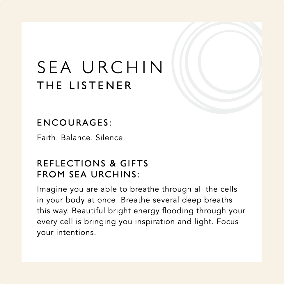 Sea Urchin: The Listener. Encourages: Faith. Balance. Silence. Reflections & Gifts from Sea Urchin: Imagine your are able to breathe through all the cells in your body at once. Breathe several deep breaths this way. Beautiful bright energy flooding through your every cell is bringing you inspiration and light. Focus your intentions. 