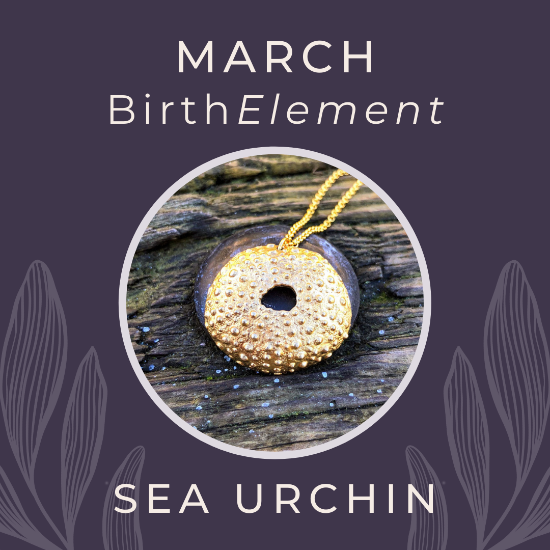 March BirthElement Sea Urchin