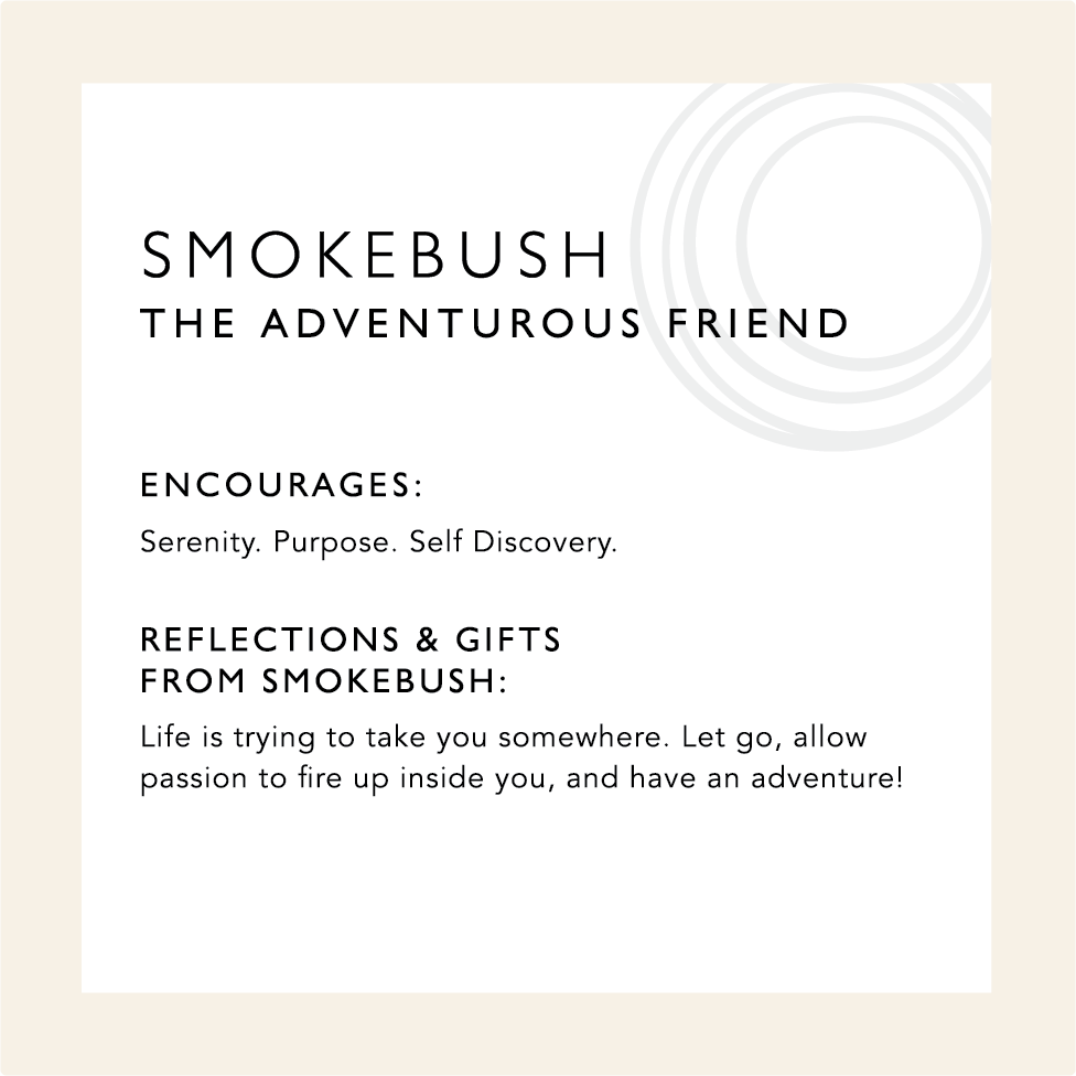 Smokebush: The Adventurous Friend. Encourages: Serenity, Purpose, Self Discovery. Reflections & Gifts from Smokebush: Life is trying to take you somewhere. Let go, allow passion to fire up inside you, and have an adventure! 