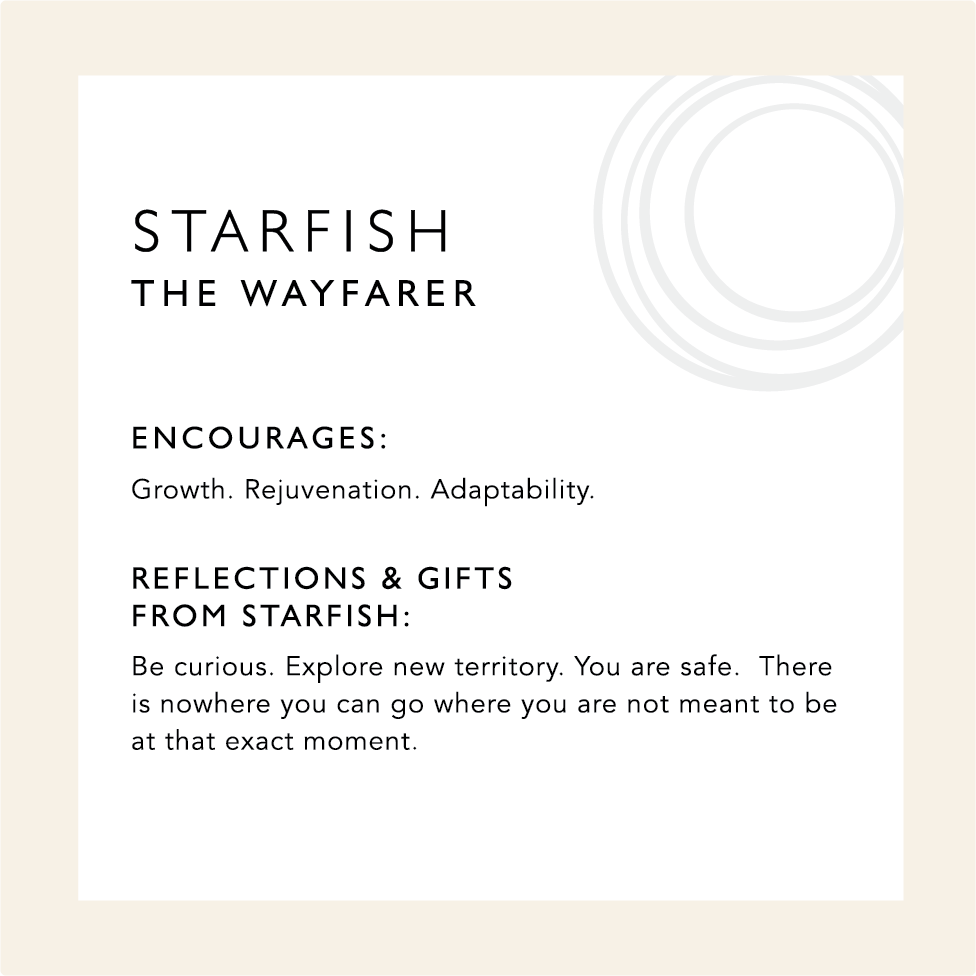 Starfish: The Wayfarer. Encourages: Growth, Rejuvenation, Adaptability. Reflections & Gifts from Starfish: Be curious. Explore new territory. You are safe. There is nowhere you can go where you are not meant to be at that exact moment. 