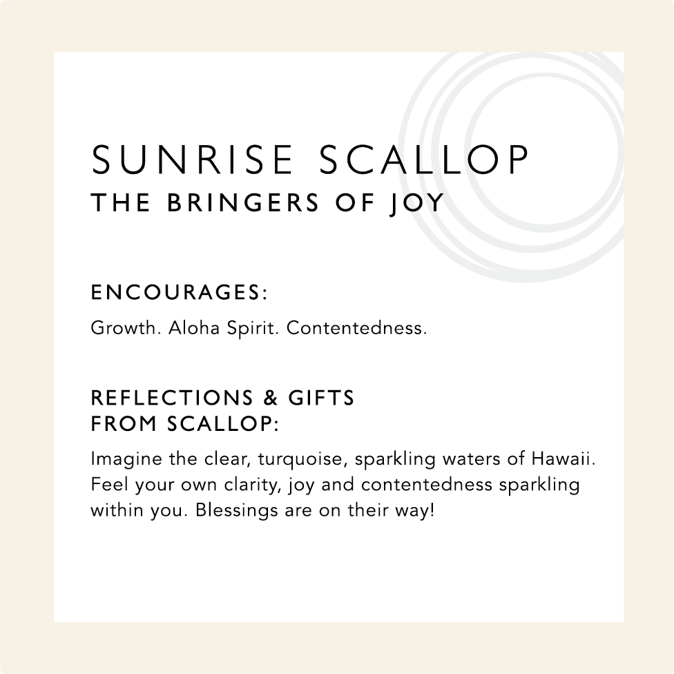Sunrise Scallop: The Bringers of Joy. Encourages: Growth. Aloha Spirit. Contentedness. Reflections & Gifts from Scallop: Imagine the clear turquoise, sparkling waters of Hawaii. Feel your own clarity, joy and contentedness sparkling within you. Blessings are on their way! 