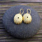 pair of beautifully detailed golden bronze sea urchin shell earrings on a round stone with a rustic wood background