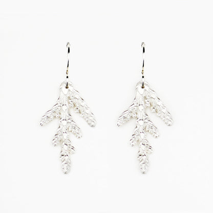 small pair of sterling silver cedar earrings on a white background