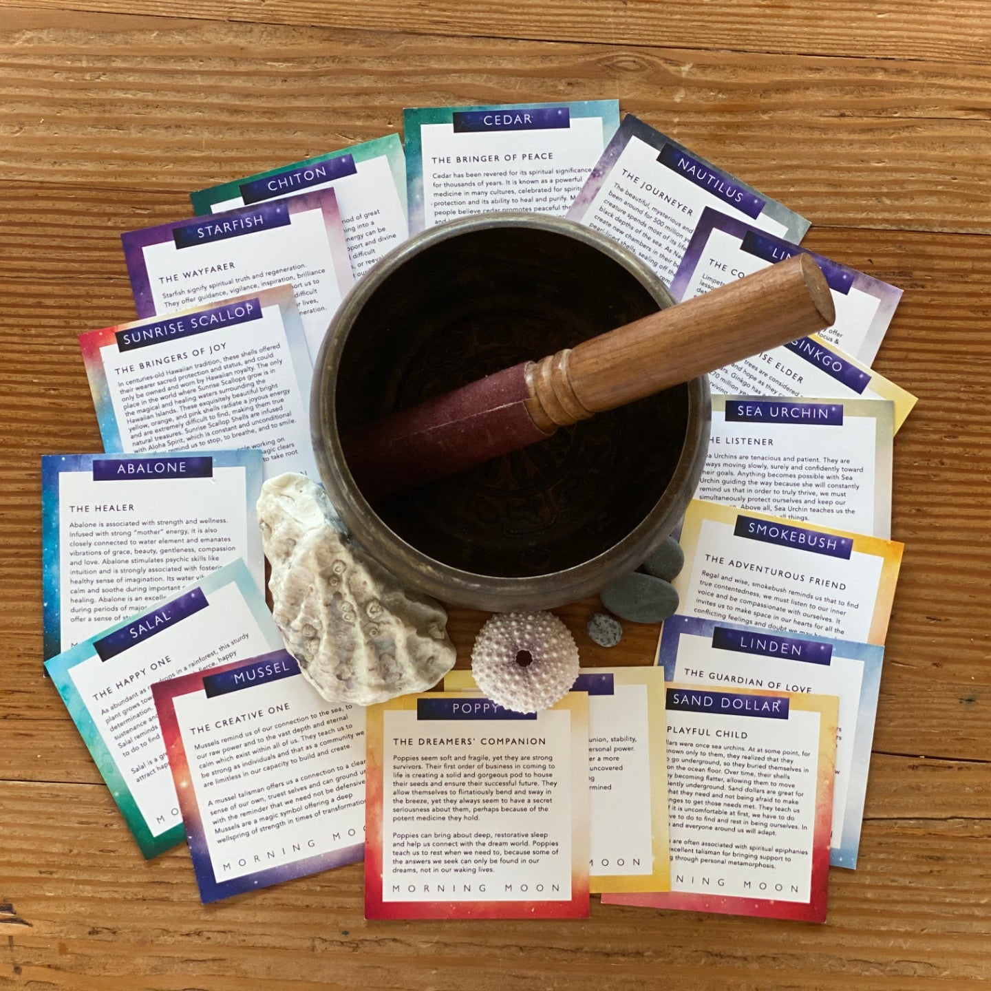 Warm feeling photo of Morning Moon's Elemental Inspiration Deck. Richly colourful cards spread out in a circle around oyster and sea urchin seashells and singing bowl 