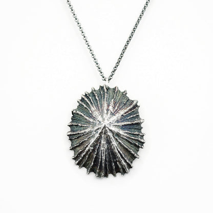 beautifully detailed limpet pendant necklace in oxidized silver on white background