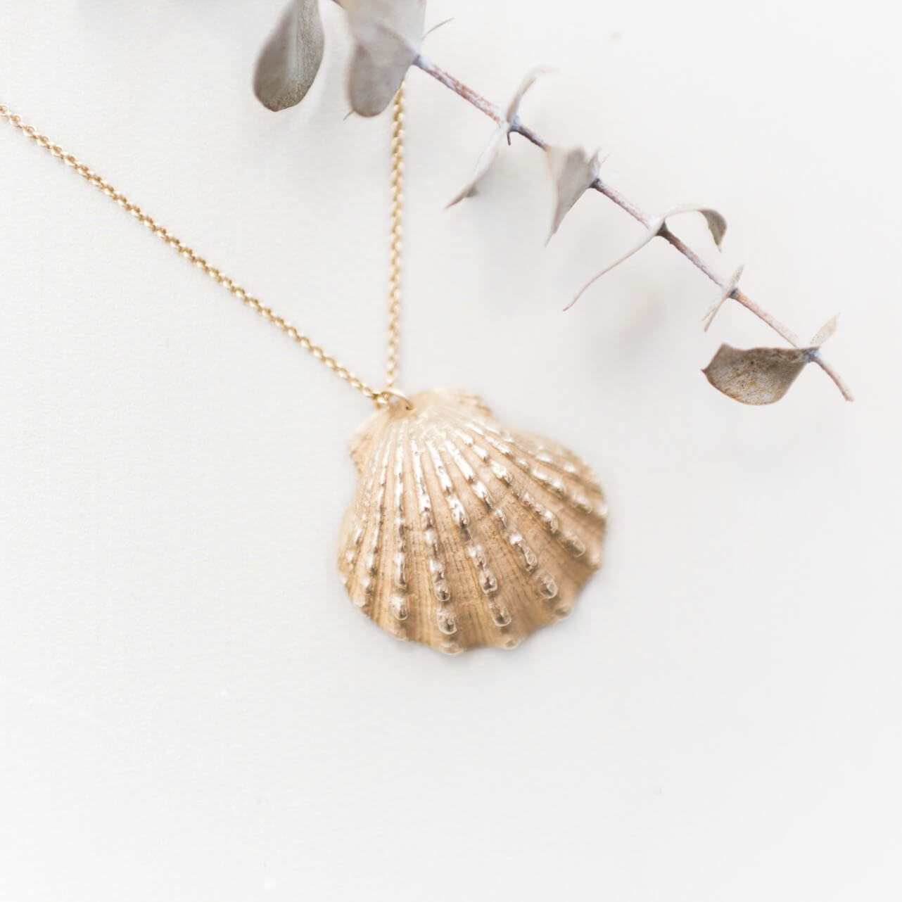beautiful, calming image of a scallop shell cast in golden bronze on a white background.