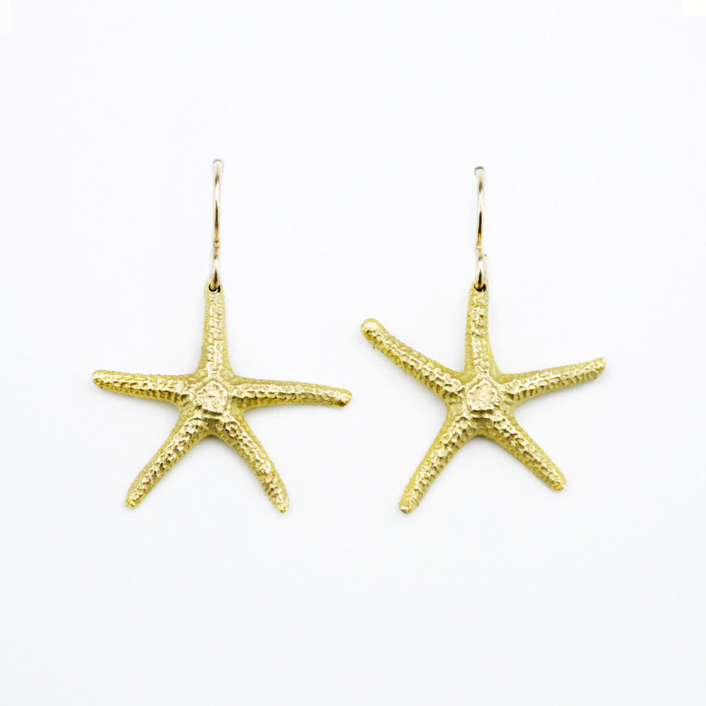 Starfish Shell Earrings