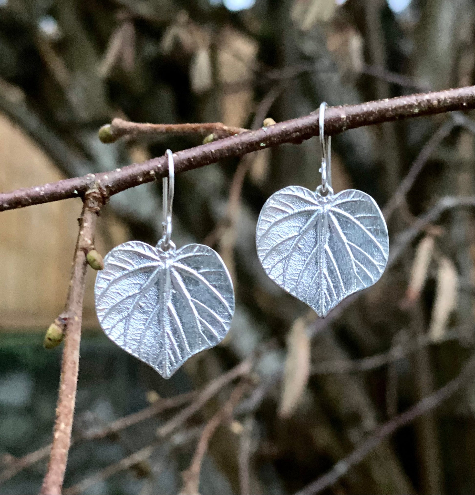 beautiful set of linden earrings in sterling silver. Hanging from the branch of a tree in the forest